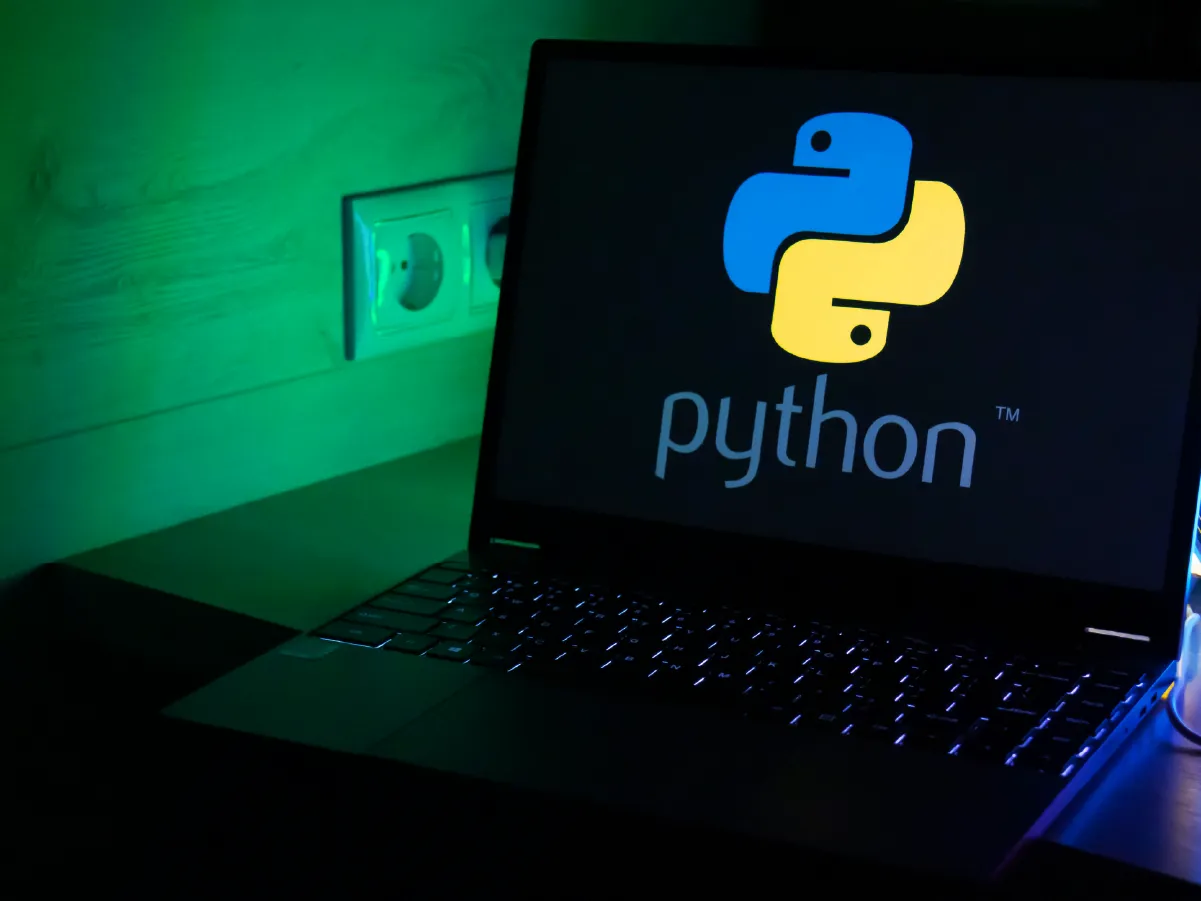 python on a computer screen