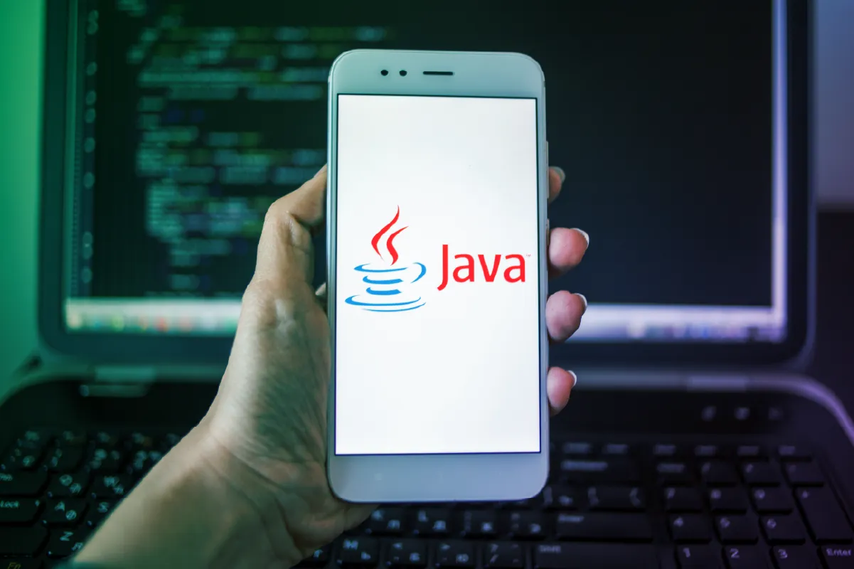 Top Java Frameworks: The Complete Guide for Business Software Development in 2025