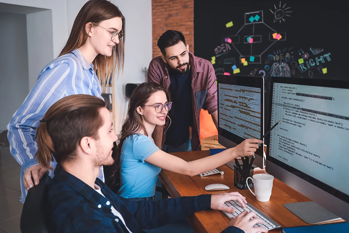 software developers