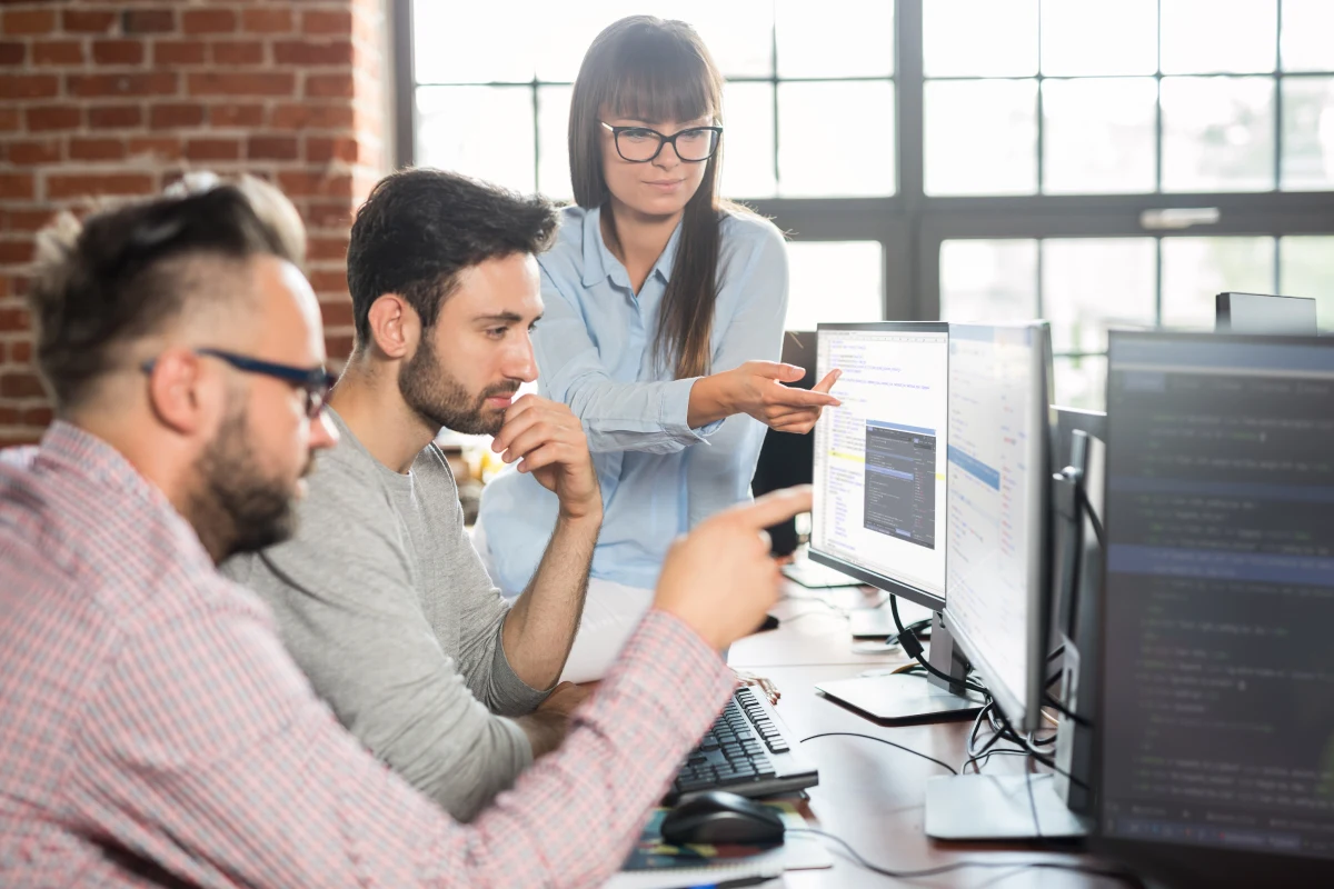 software dev