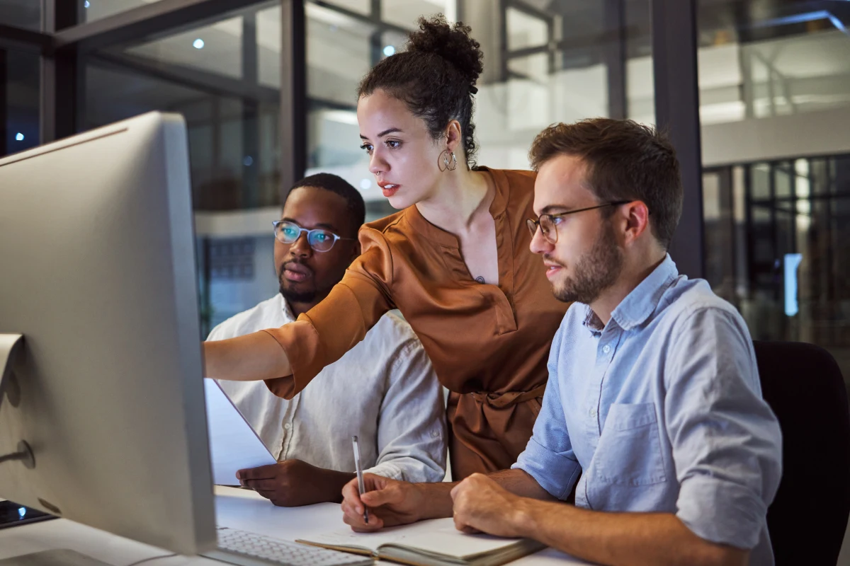 software audit services