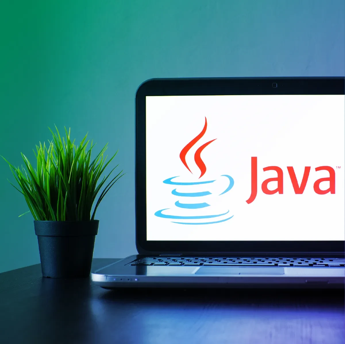 Java_vs_Python