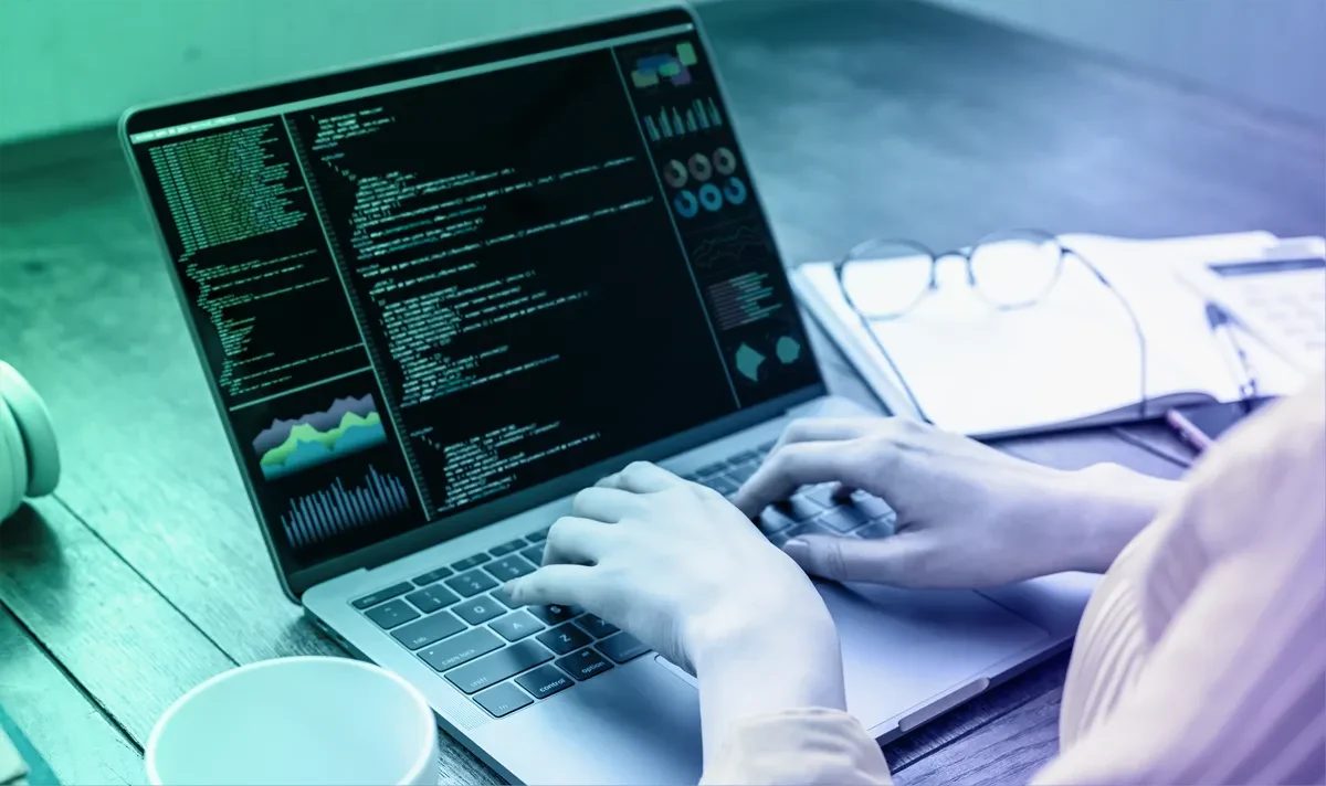 python programmers showing source code